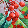 fallberries